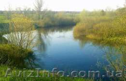 Продаю участок в Царичанке - <ro>Изображение</ro><ru>Изображение</ru> #1, <ru>Объявление</ru> #1552553