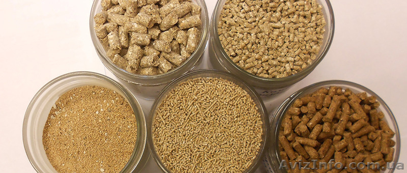 Производство и продажа комбикормов для птицы и животных - <ro>Изображение</ro><ru>Изображение</ru> #1, <ru>Объявление</ru> #1561846