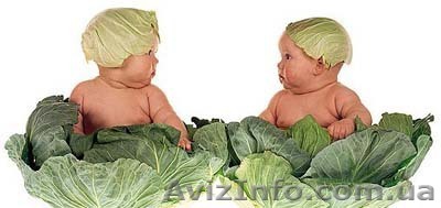 Няня и помощница по дому  в Женеву - <ro>Изображение</ro><ru>Изображение</ru> #1, <ru>Объявление</ru> #1569240