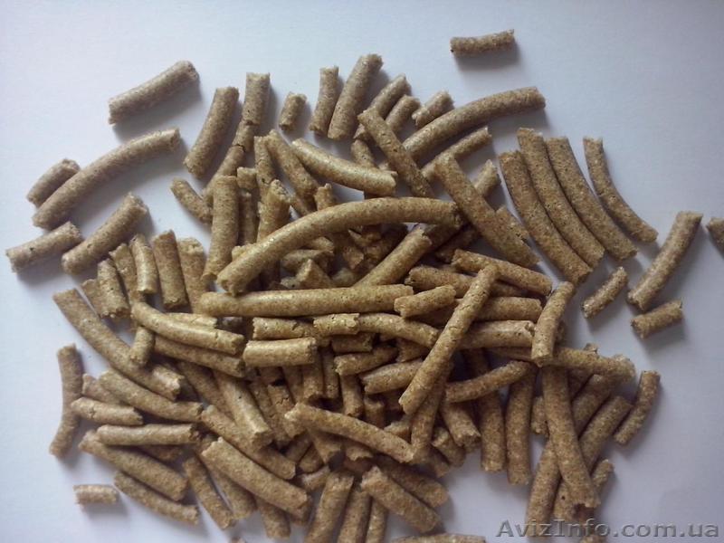 Амарантова макуха від виробника - <ro>Изображение</ro><ru>Изображение</ru> #1, <ru>Объявление</ru> #1575118