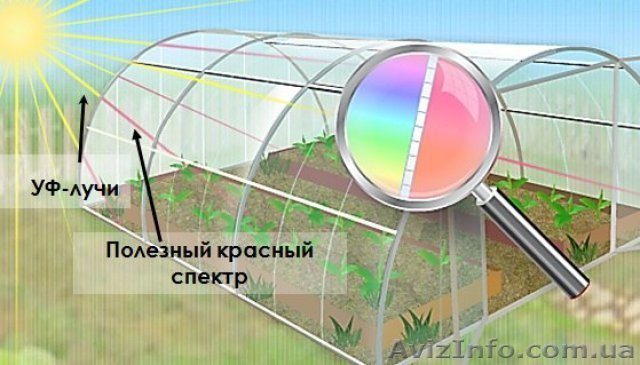 теплицы из поликарбоната в Днепре - <ro>Изображение</ro><ru>Изображение</ru> #1, <ru>Объявление</ru> #1571943