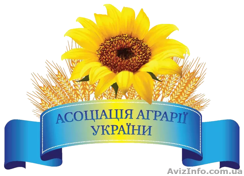 Покупаем зерновые и масличные по всей Украине на постоянной основе - <ro>Изображение</ro><ru>Изображение</ru> #1, <ru>Объявление</ru> #1574434