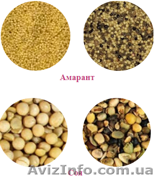 Сеть фотосепараторов по всей территории Украины - <ro>Изображение</ro><ru>Изображение</ru> #1, <ru>Объявление</ru> #1582631