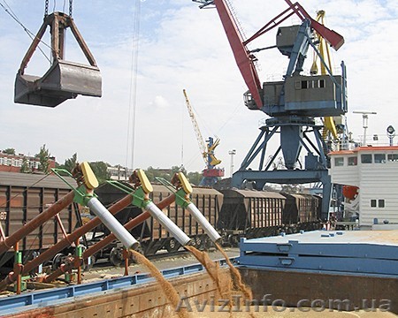 Куплю отруби пшеничные (на постоянной основе) - <ro>Изображение</ro><ru>Изображение</ru> #1, <ru>Объявление</ru> #1587548