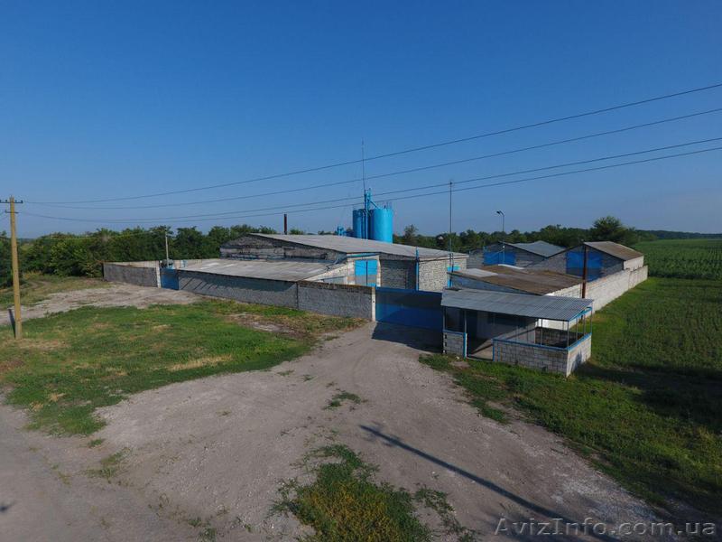 Продам маслозавод - <ro>Изображение</ro><ru>Изображение</ru> #1, <ru>Объявление</ru> #1591179