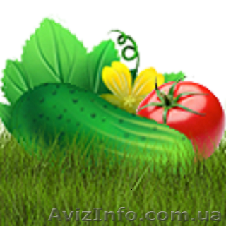  Продаем  б.у. оборудование для теплиц - <ro>Изображение</ro><ru>Изображение</ru> #1, <ru>Объявление</ru> #1634817