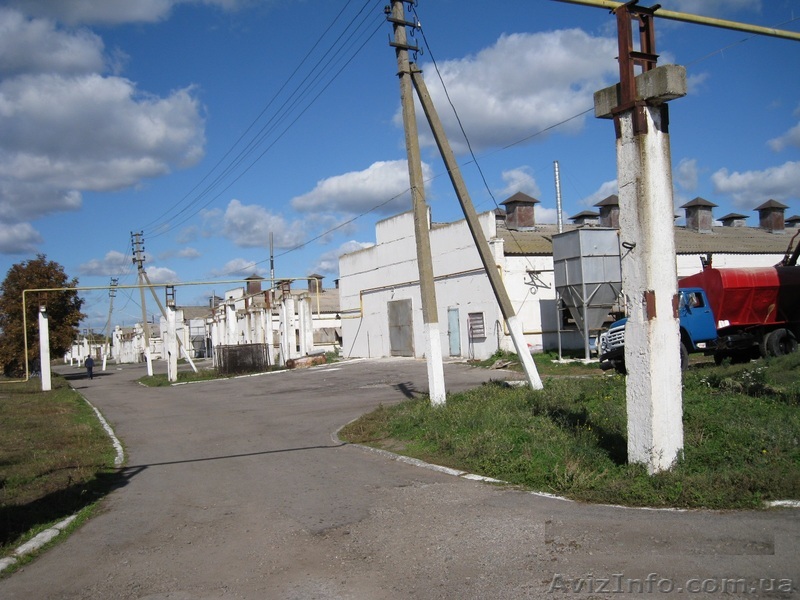 Продаем б. у. оборудование для  выращивания птицы - <ro>Изображение</ro><ru>Изображение</ru> #1, <ru>Объявление</ru> #1635591