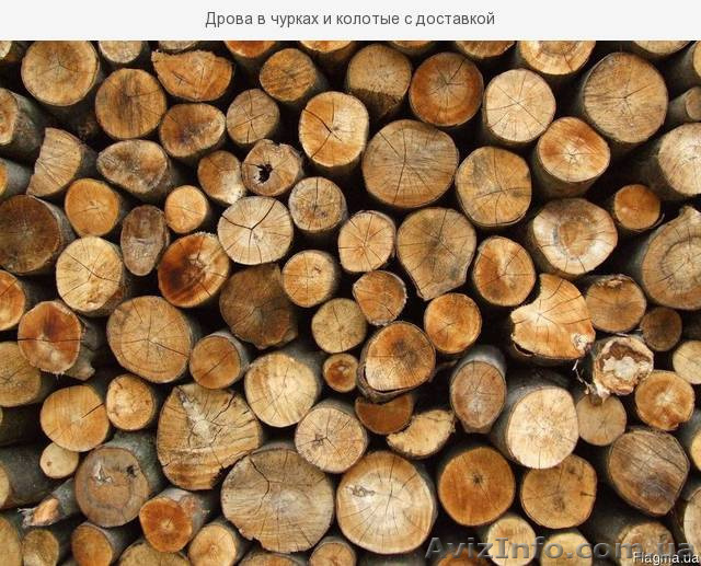 Дрова Днепродзержинск. Дрова колотые из акации недорого - <ro>Изображение</ro><ru>Изображение</ru> #1, <ru>Объявление</ru> #1641953