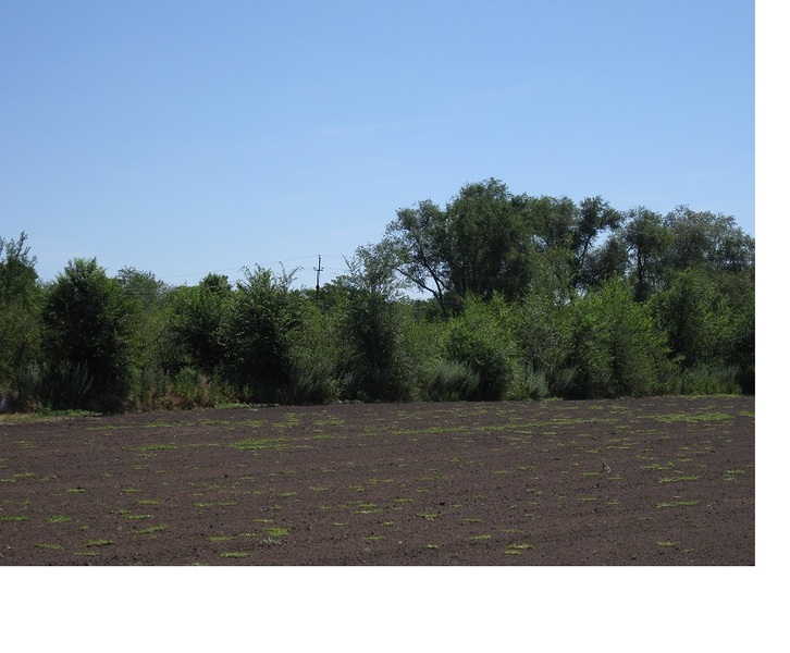 Продам  земельный участок 16 Га в Новомосковске Днепр.область - <ro>Изображение</ro><ru>Изображение</ru> #1, <ru>Объявление</ru> #1661904