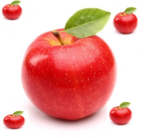 сдам в аренду яблоневый сад Днепр Чумаки - <ro>Изображение</ro><ru>Изображение</ru> #1, <ru>Объявление</ru> #1660970