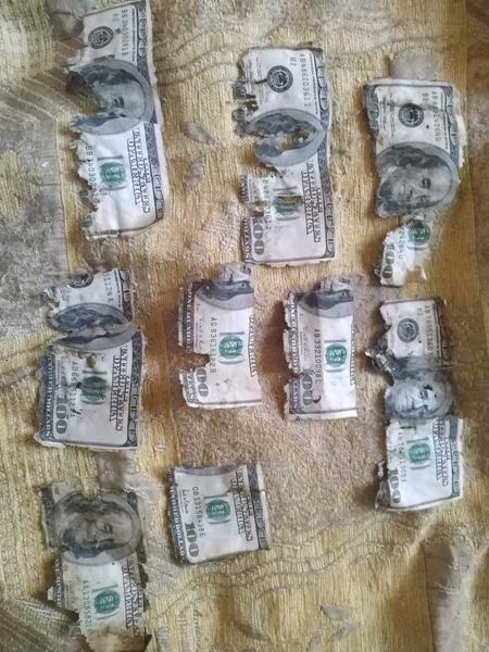 Обмен: южноафриканский Рэнд, дойчмарки, гульдены - <ro>Изображение</ro><ru>Изображение</ru> #1, <ru>Объявление</ru> #1668277