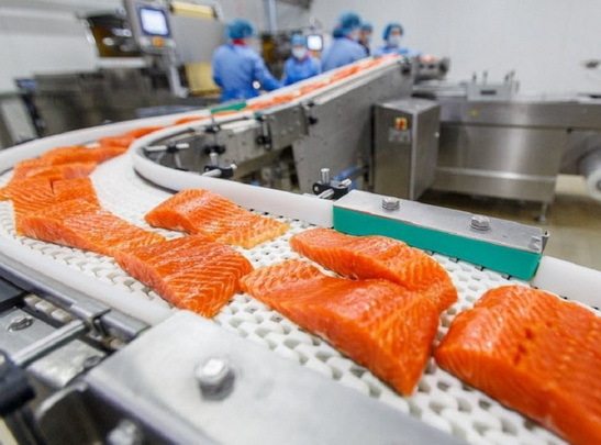 Рыбный завод Морпул г. Дуниново Польша - <ro>Изображение</ro><ru>Изображение</ru> #1, <ru>Объявление</ru> #1676215