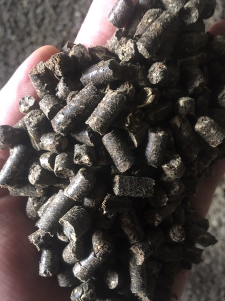 продам топливную гранулу - <ro>Изображение</ro><ru>Изображение</ru> #1, <ru>Объявление</ru> #1676542