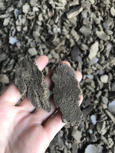 продам жмых подсолнуха технический - <ro>Изображение</ro><ru>Изображение</ru> #1, <ru>Объявление</ru> #1676546