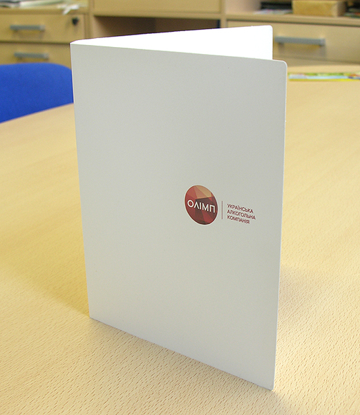 пластиковые папки, портфели, лотки, гирлянды - <ro>Изображение</ro><ru>Изображение</ru> #1, <ru>Объявление</ru> #1680872