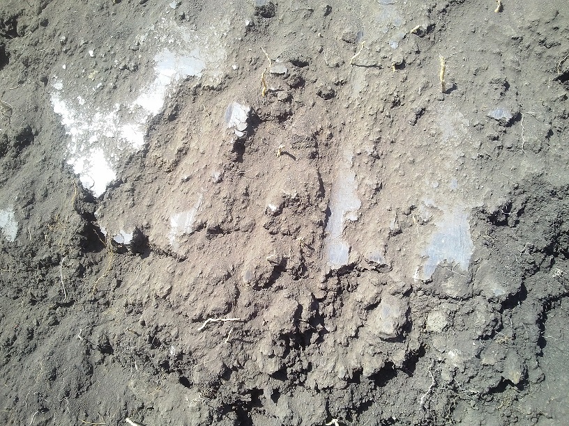 Продам грунт в Днепре - <ro>Изображение</ro><ru>Изображение</ru> #1, <ru>Объявление</ru> #1691435