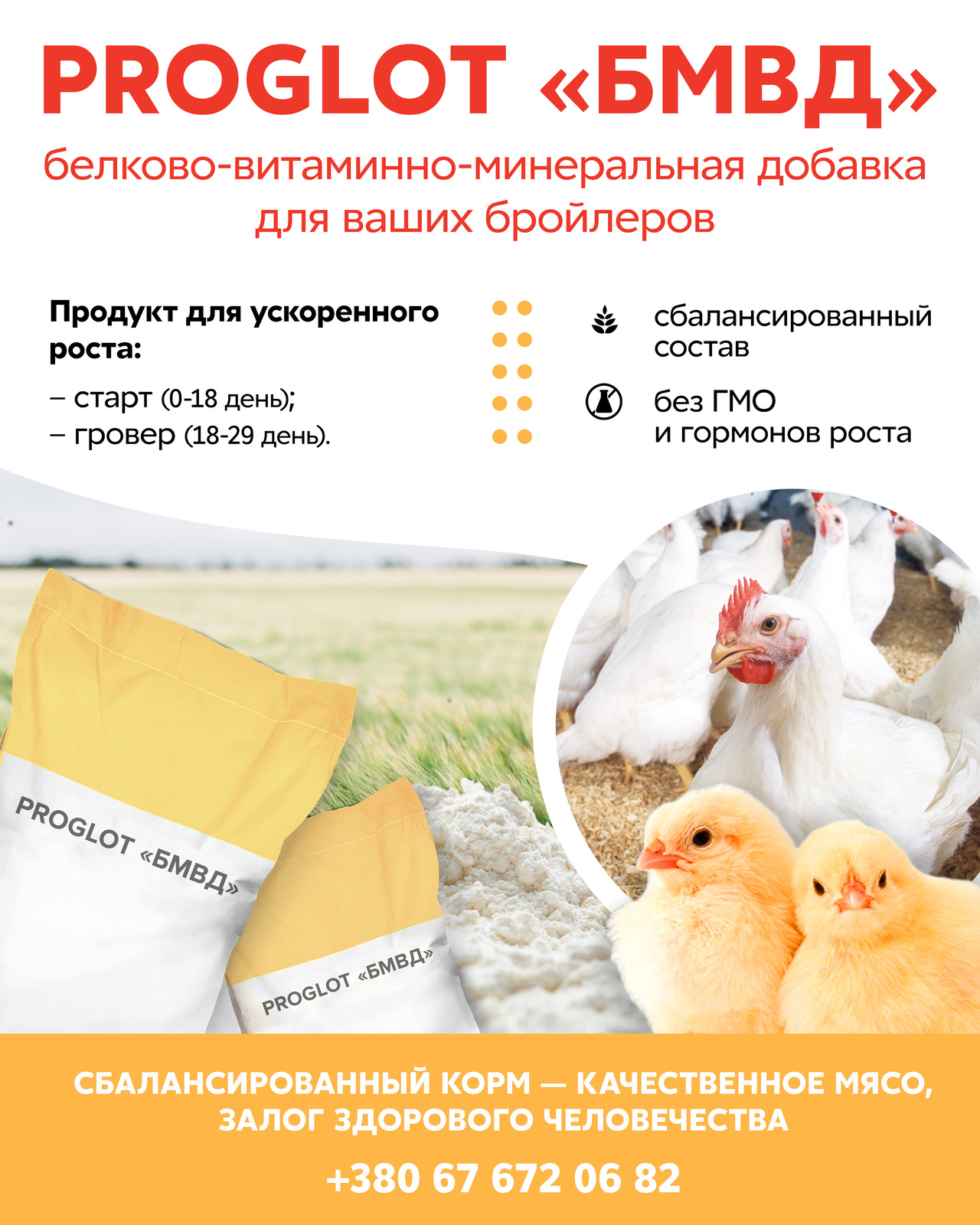 "PROGLOT" БМВД для бройлеров - <ro>Изображение</ro><ru>Изображение</ru> #1, <ru>Объявление</ru> #1698746