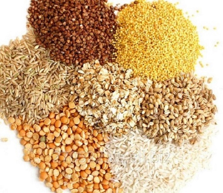 Крупа манная весовая и фасованная оптом Днепр. - <ro>Изображение</ro><ru>Изображение</ru> #1, <ru>Объявление</ru> #1730367