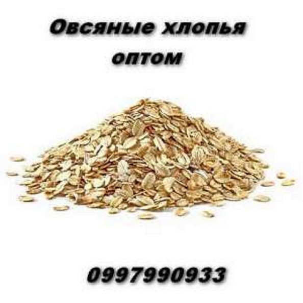 Овсяные хлопья оптом в Украине по выгодной цене. - <ro>Изображение</ro><ru>Изображение</ru> #1, <ru>Объявление</ru> #1747844