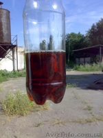 Продам печное (котельное) топливо нефтяное, СНО (цвет тёмный), 8500л - <ro>Изображение</ro><ru>Изображение</ru> #1, <ru>Объявление</ru> #182172