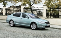 Авторазборка Skoda Octavia A5 (Днепропетровск) - <ro>Изображение</ro><ru>Изображение</ru> #2, <ru>Объявление</ru> #369707