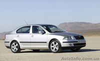Авторазборка Skoda Octavia A5 (Днепропетровск) - <ro>Изображение</ro><ru>Изображение</ru> #1, <ru>Объявление</ru> #369707