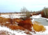 УЧАСТКИ 2ГА; 4ГА (ГОСАКТ) на реке ОРЕЛЬ (свой берег - 80м; 160м). - <ro>Изображение</ro><ru>Изображение</ru> #4, <ru>Объявление</ru> #511450
