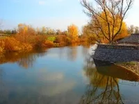 УЧАСТКИ 2ГА; 4ГА (ГОСАКТ) на реке ОРЕЛЬ (свой берег - 80м; 160м). - <ro>Изображение</ro><ru>Изображение</ru> #10, <ru>Объявление</ru> #511450