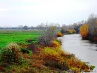 УЧАСТКИ 2ГА; 4ГА (ГОСАКТ) на реке ОРЕЛЬ (свой берег - 80м; 160м). - <ro>Изображение</ro><ru>Изображение</ru> #1, <ru>Объявление</ru> #511450