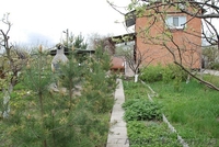 ПРОДАМ ДАЧУ на берегу реки Подгороднее - <ro>Изображение</ro><ru>Изображение</ru> #1, <ru>Объявление</ru> #633910