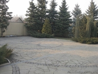 Продам дом 320м Клочко р-н ул. Холодильной,  - <ro>Изображение</ro><ru>Изображение</ru> #3, <ru>Объявление</ru> #663667