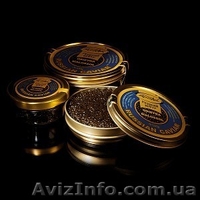 Икра черная осетровая аквакультуры - <ro>Изображение</ro><ru>Изображение</ru> #1, <ru>Объявление</ru> #741038