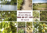 дом краснополье недорого - <ro>Изображение</ro><ru>Изображение</ru> #1, <ru>Объявление</ru> #779183