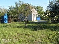 Продам дачу в Павлограде (ПЗТО) - <ro>Изображение</ro><ru>Изображение</ru> #3, <ru>Объявление</ru> #882935