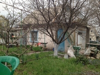 Срочно продам дачу в Волоском. 16500 у.е. Хороший торг! - <ro>Изображение</ro><ru>Изображение</ru> #1, <ru>Объявление</ru> #876398