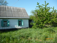СРОЧНО ПРОДАМ ДОМ- ДАЧА с.ОРЛОВЩИНА - <ro>Изображение</ro><ru>Изображение</ru> #1, <ru>Объявление</ru> #937625