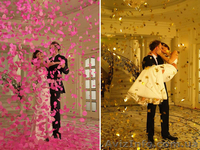 Аренда Прокат Конфетти Машины ВIG Confetti Mini Fan - <ro>Изображение</ro><ru>Изображение</ru> #2, <ru>Объявление</ru> #1160372