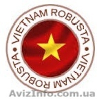 Зеленый кофе Робуста Вьетнам 1 сорт - <ro>Изображение</ro><ru>Изображение</ru> #1, <ru>Объявление</ru> #1276893