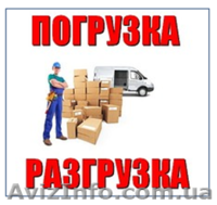 Опытные грузчики! - <ro>Изображение</ro><ru>Изображение</ru> #2, <ru>Объявление</ru> #1423637