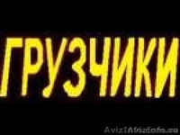 Опытные грузчики! - <ro>Изображение</ro><ru>Изображение</ru> #1, <ru>Объявление</ru> #1423637