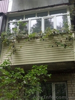  продам 2-х комнатную квартиру - <ro>Изображение</ro><ru>Изображение</ru> #1, <ru>Объявление</ru> #1496863
