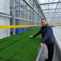 Продам Витграсс - сок из ростков пшеницы для вашего здоровья - <ro>Изображение</ro><ru>Изображение</ru> #2, <ru>Объявление</ru> #1715269