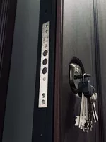 Купить двери входные готовые или изготовить в Кривом Роге и по всей Укриине - <ro>Изображение</ro><ru>Изображение</ru> #9, <ru>Объявление</ru> #1752601