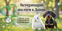 Ветеринар на дом Днепр, кошка упала с высоты что делать - <ro>Изображение</ro><ru>Изображение</ru> #3, <ru>Объявление</ru> #1752752