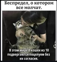 Ветеринар на дом Днепр, кошка упала с высоты что делать - <ro>Изображение</ro><ru>Изображение</ru> #6, <ru>Объявление</ru> #1752752