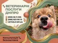 Ветеринар Дніпро – Лікування, Кастрація, Стерилізація з виїздом - <ro>Изображение</ro><ru>Изображение</ru> #1, <ru>Объявление</ru> #1558546