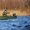 Пластиковая лодка БАРС 300 - <ro>Изображение</ro><ru>Изображение</ru> #2, <ru>Объявление</ru> #16218