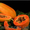 Папаин (Carica papaya L.) #43997
