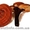 Экстракт грибов шиитаке,  майтаке,  рейши #43994