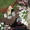 Ландшафтный дизайн Днепропетровск. Рулонные газоны - <ro>Изображение</ro><ru>Изображение</ru> #5, <ru>Объявление</ru> #72069